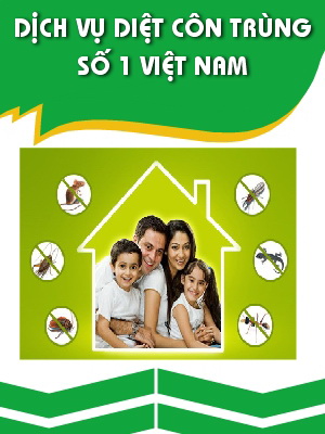 diet-moi-uy-tin-tan-goc-tai-tp-vinh-nghe-an-0978115775